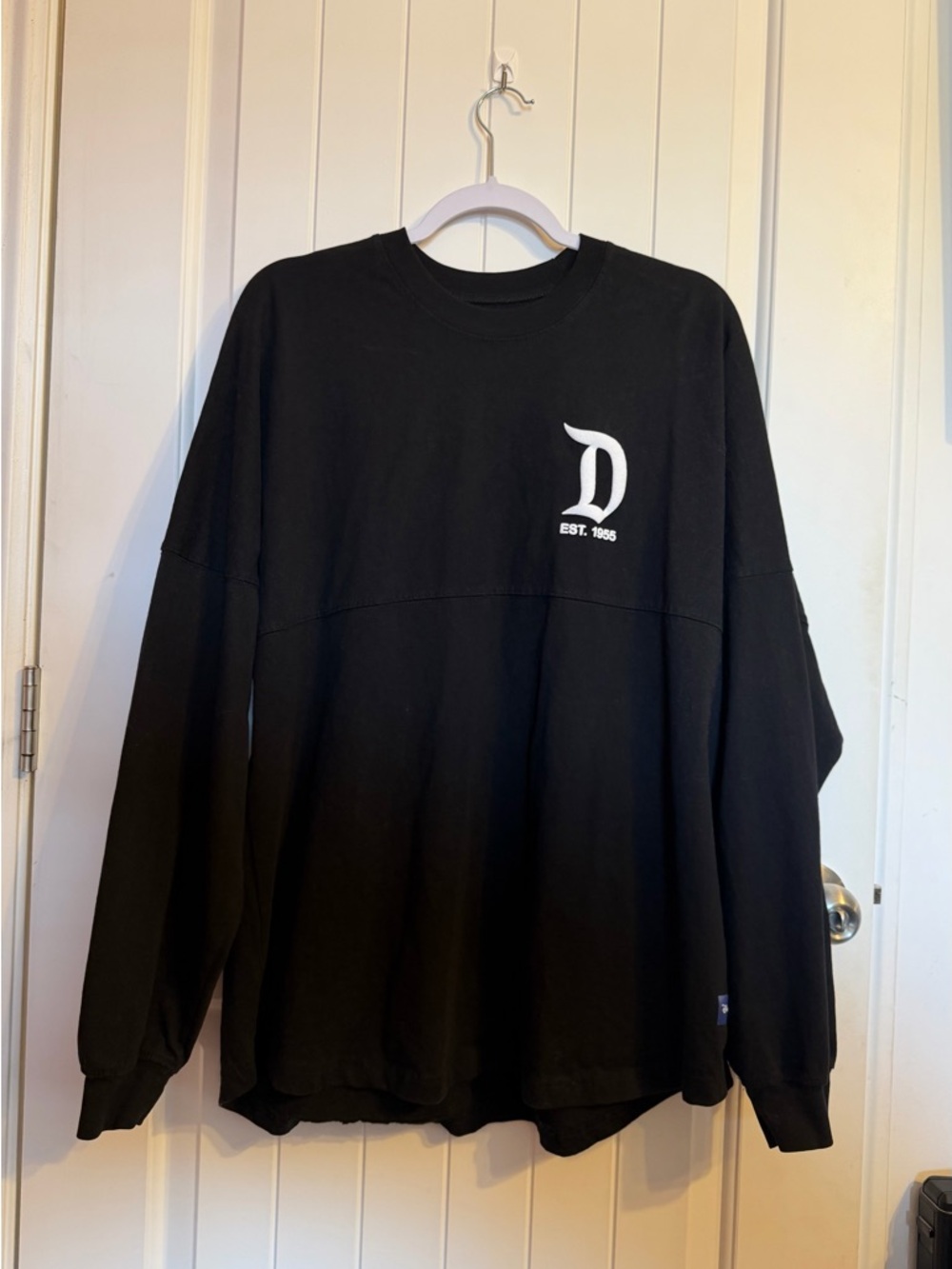 Disney spirit jersey